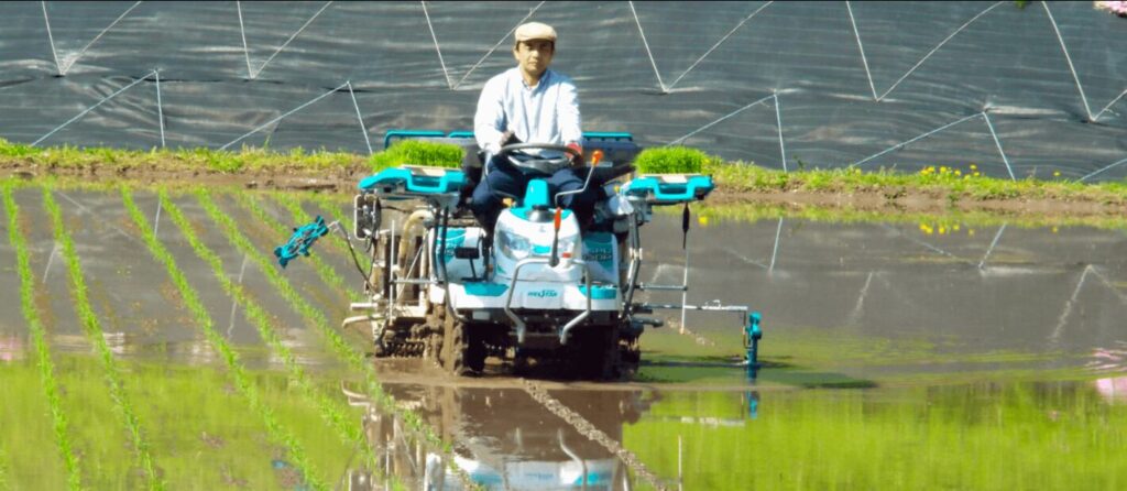 トラクターと水田